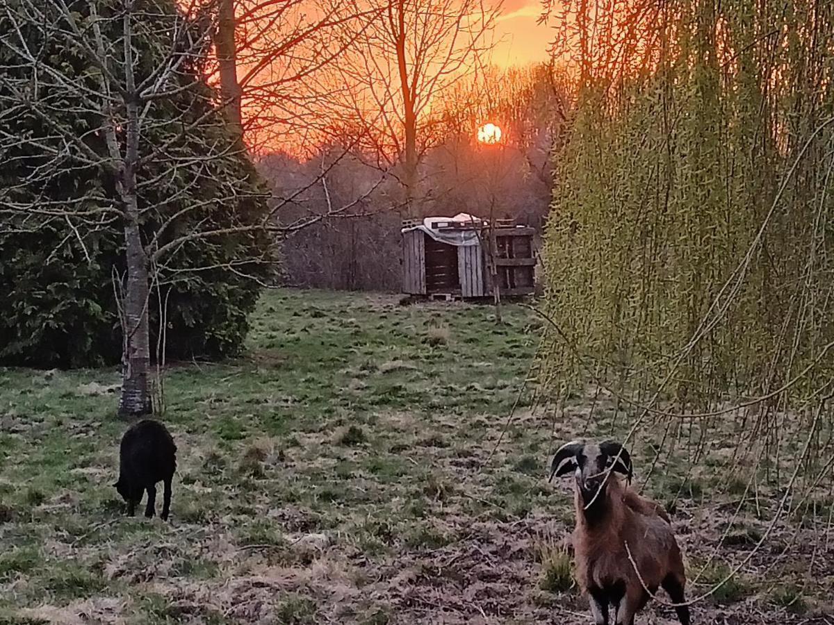 Les chambres du Vert Galant Coucher de soleil Verlinghem Extérieur photo